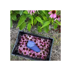 Chaco Women's Ramble Rugged Canvas Shoe|Women Boots